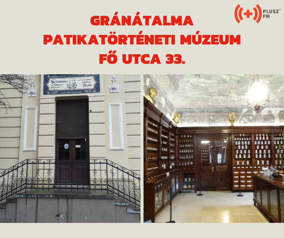 Gránátalma Patikatörténeti Múzeum - Árva Orsolya